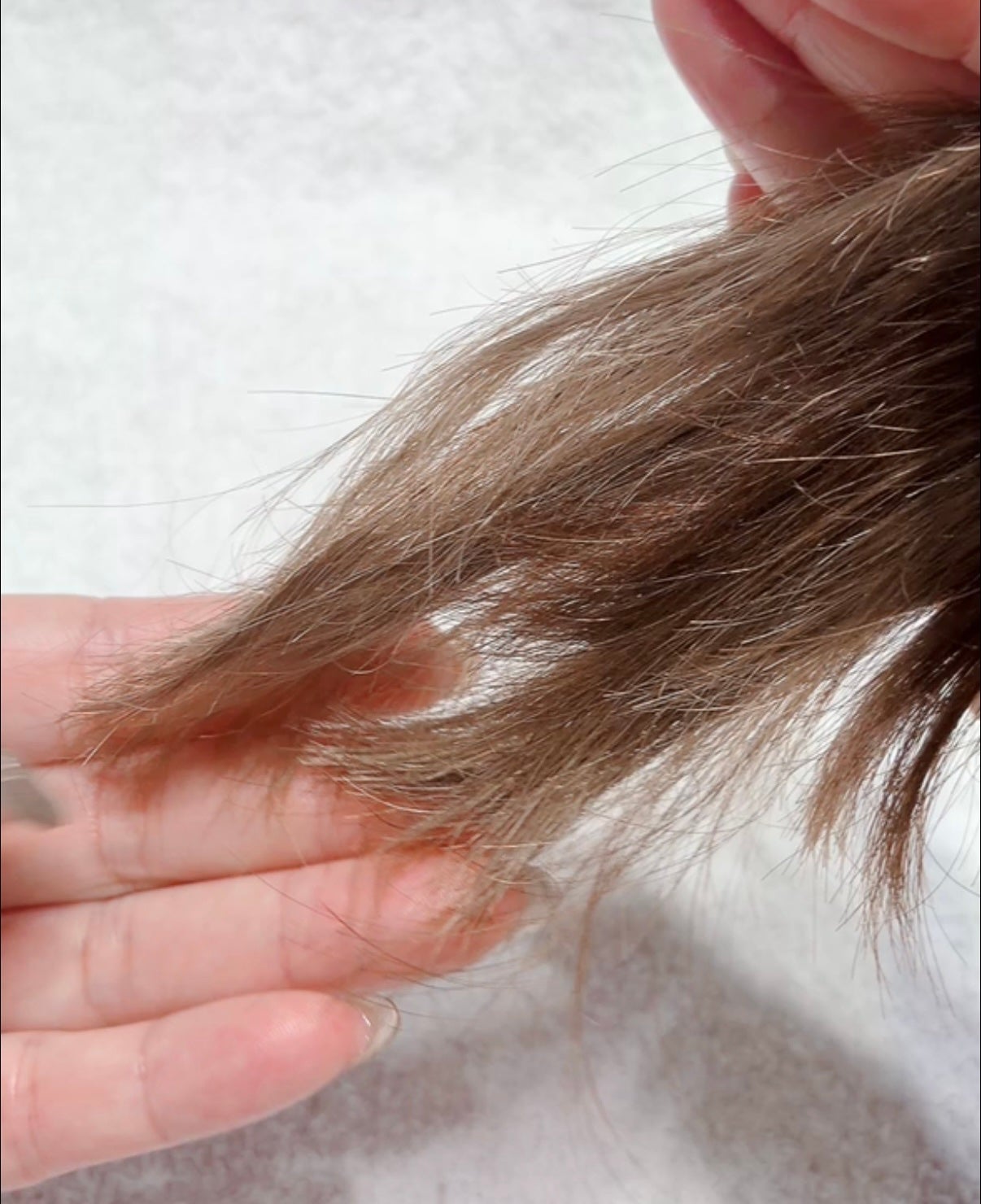 ストレートヘアオイル/Straine/ヘアオイルを使ったクチコミ(6枚目)