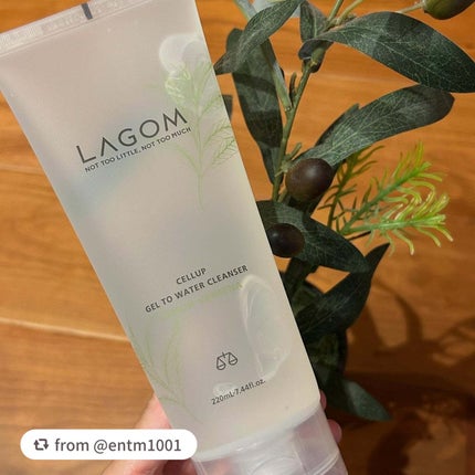 ラゴム ジェルトゥウォーター クレンザー(LV)(朝用洗顔)/LAGOM /その他洗顔料を使ったクチコミ(1枚目)