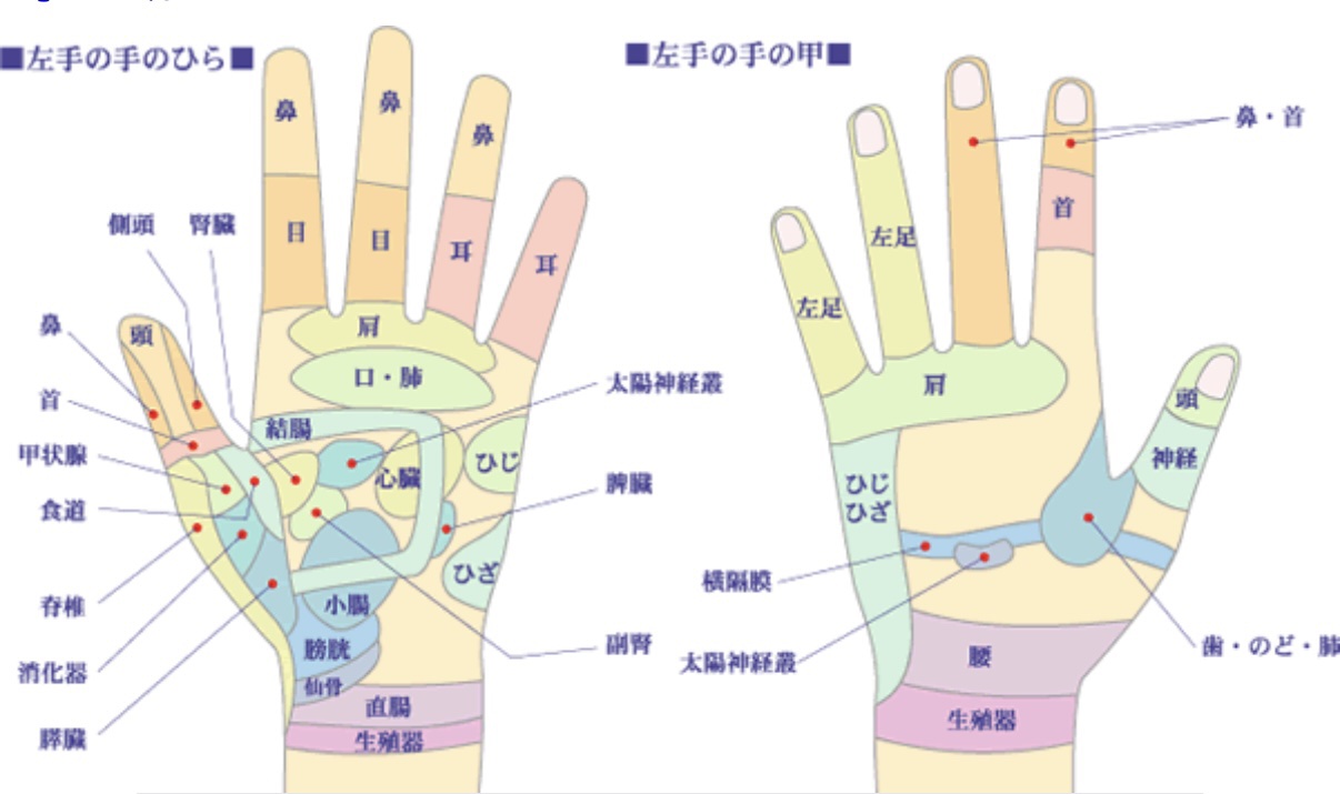 ニールズヤード レメディーズ ゼラニウム&オレンジ ハンドクリームのクチコミ「🌙ナイトハンドケア🌙


もう10個以上リピートしてる、アトリックスビューティーチャージ ナイ.....」（3枚目）