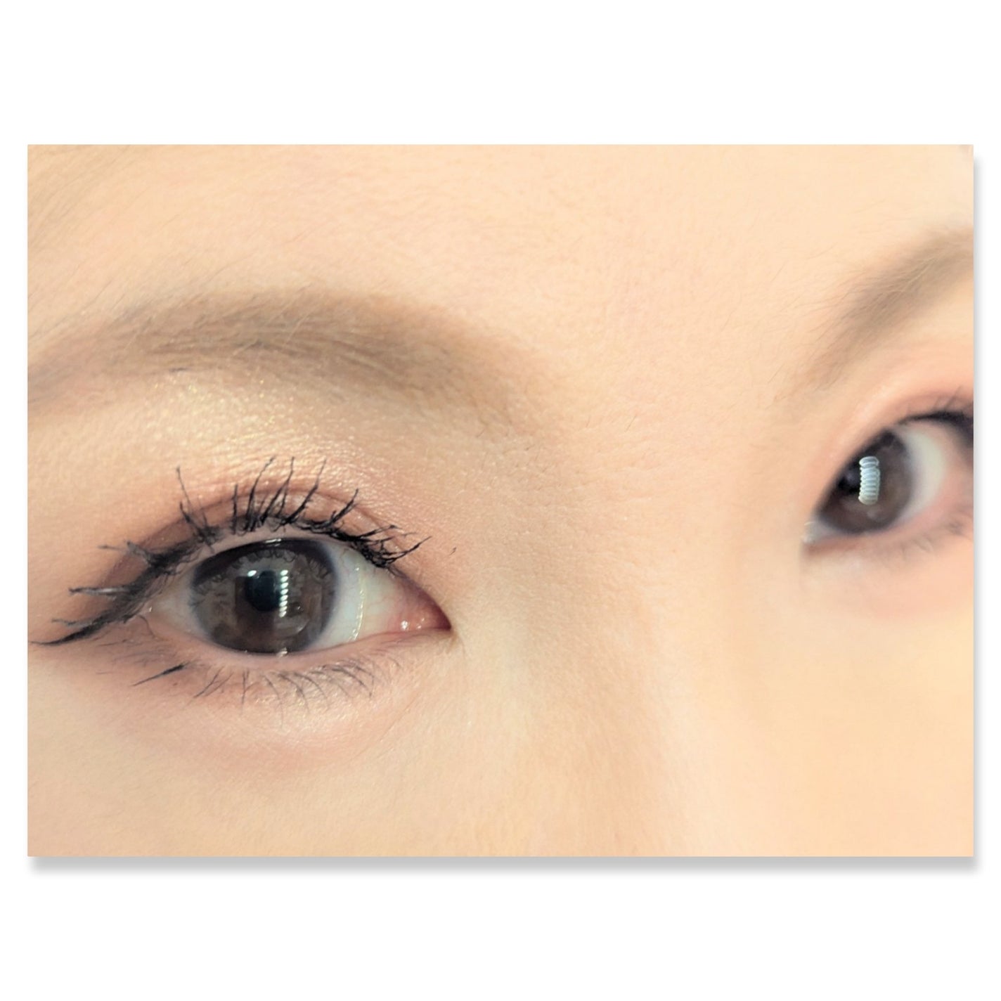 ザジー ジグソーアイシャドウパレット/SHEGLAM/アイシャドウパレットを使ったクチコミ(2枚目)