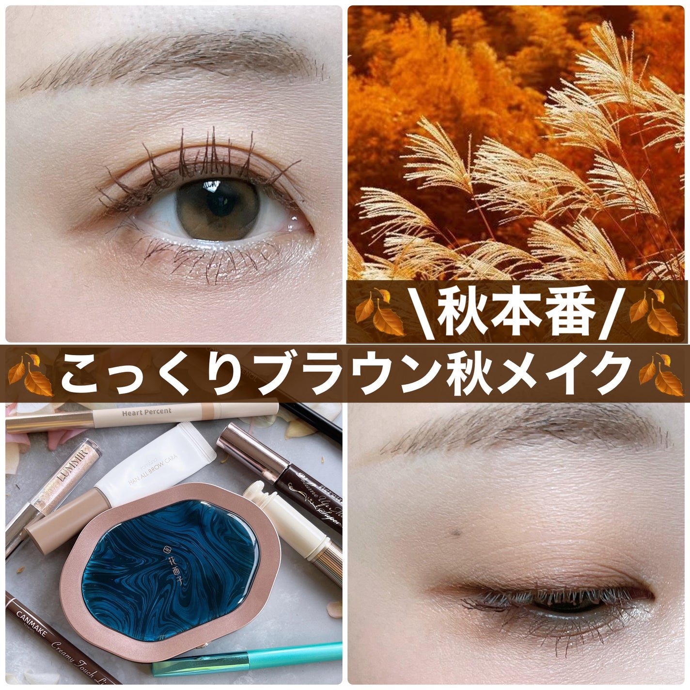 ラッシュボーン ブラックファイバーイン/MAJOLICA MAJORCA/マスカラ下地を使ったクチコミ(1枚目)