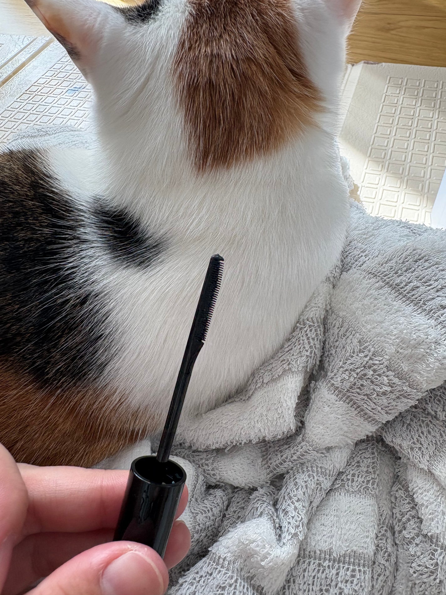 ケープ フォーアクティブ カールロックマスカラ下地/ケープ/マスカラ下地を使ったクチコミ(3枚目)