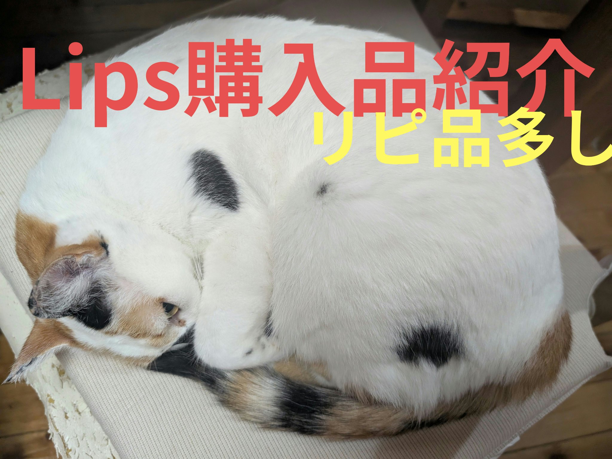 美白化粧水 TA/ちふれ/化粧水を使ったクチコミ（1枚目）