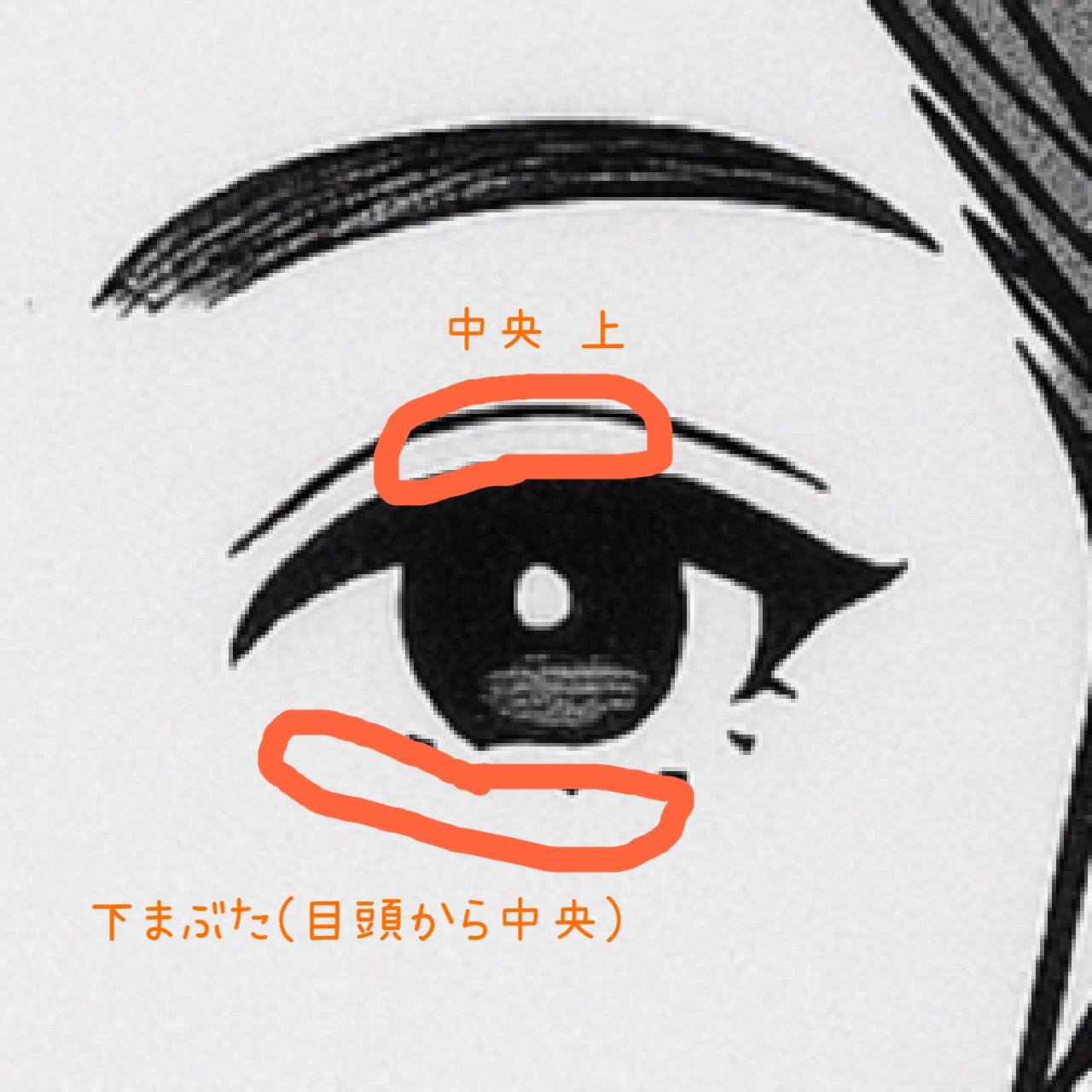 アディクション ザ アイシャドウ パール/ADDICTION/単色アイシャドウを使ったクチコミ（3枚目）