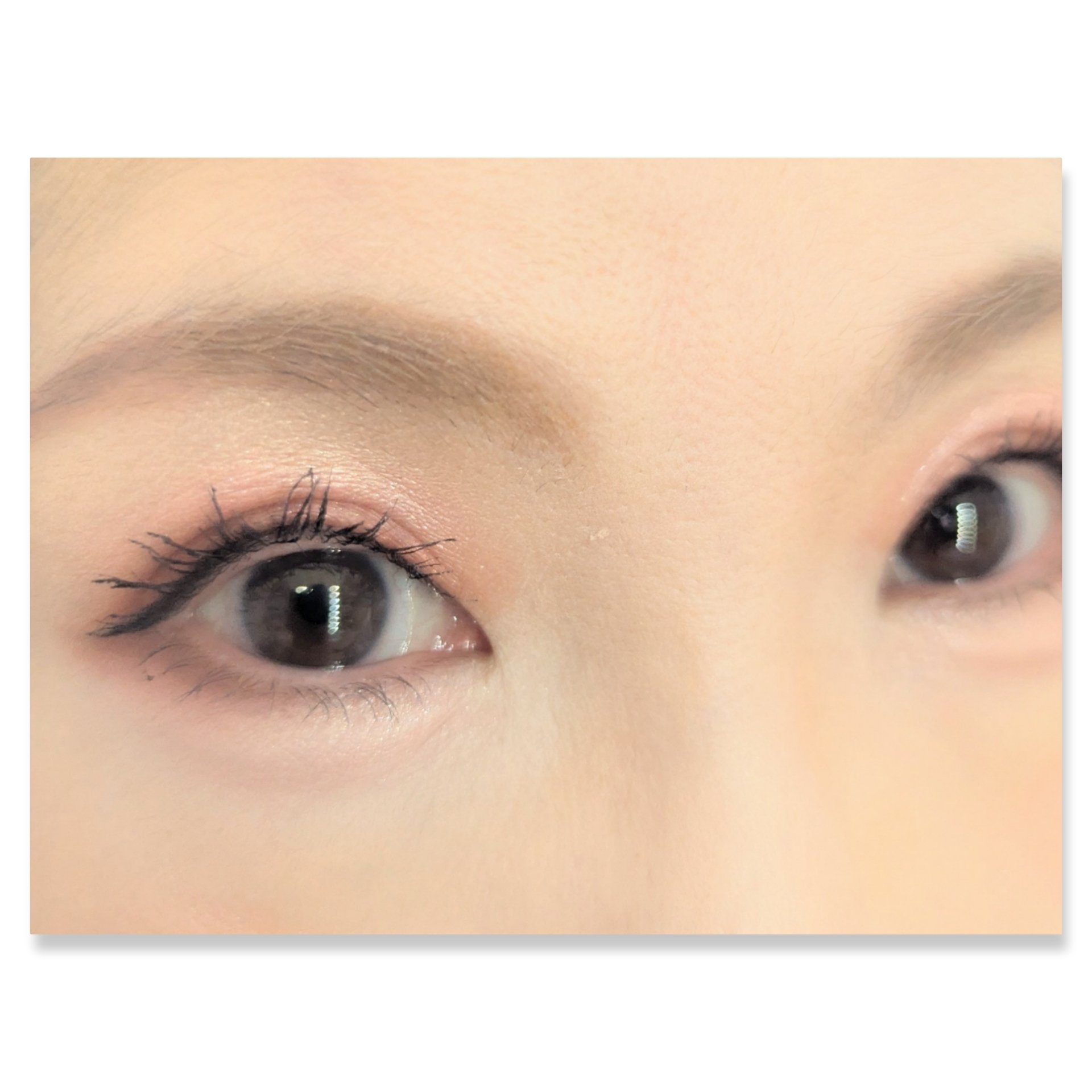 パーフェクトスタイリストアイズ/キャンメイク/アイシャドウパレットを使ったクチコミ（2枚目）