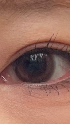 feliamo 1day サクラムース/feliamo/ワンデー(1DAY)カラコンの画像