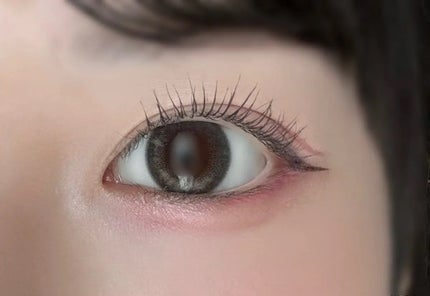 FLANMY 1day ソルティーバニラ/FLANMY/ワンデー(1DAY)カラコンの画像