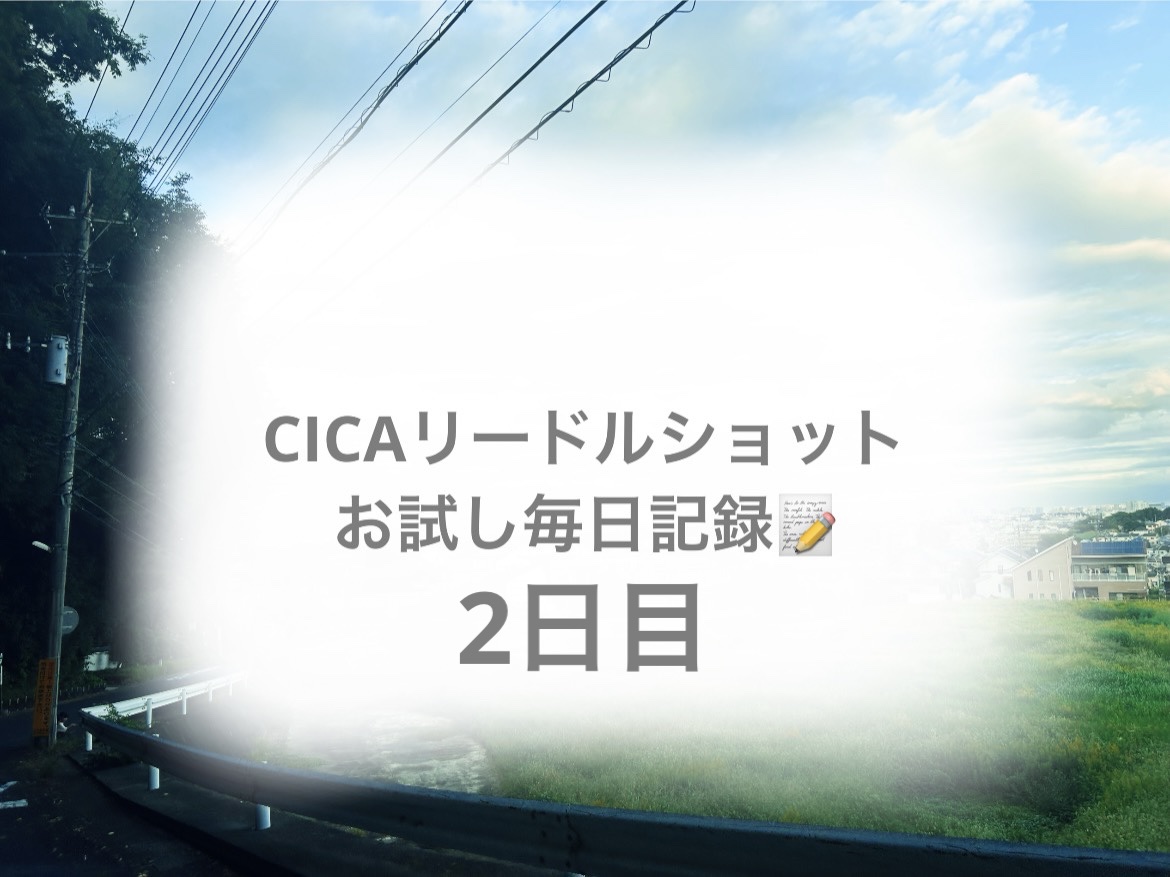 S100 リードル/VT/美容液を使ったクチコミ（1枚目）