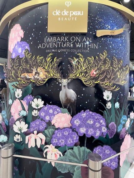 ル・レオスールデクラ /クレ・ド・ポー ボーテ/パウダーハイライトを使ったクチコミ(4枚目)