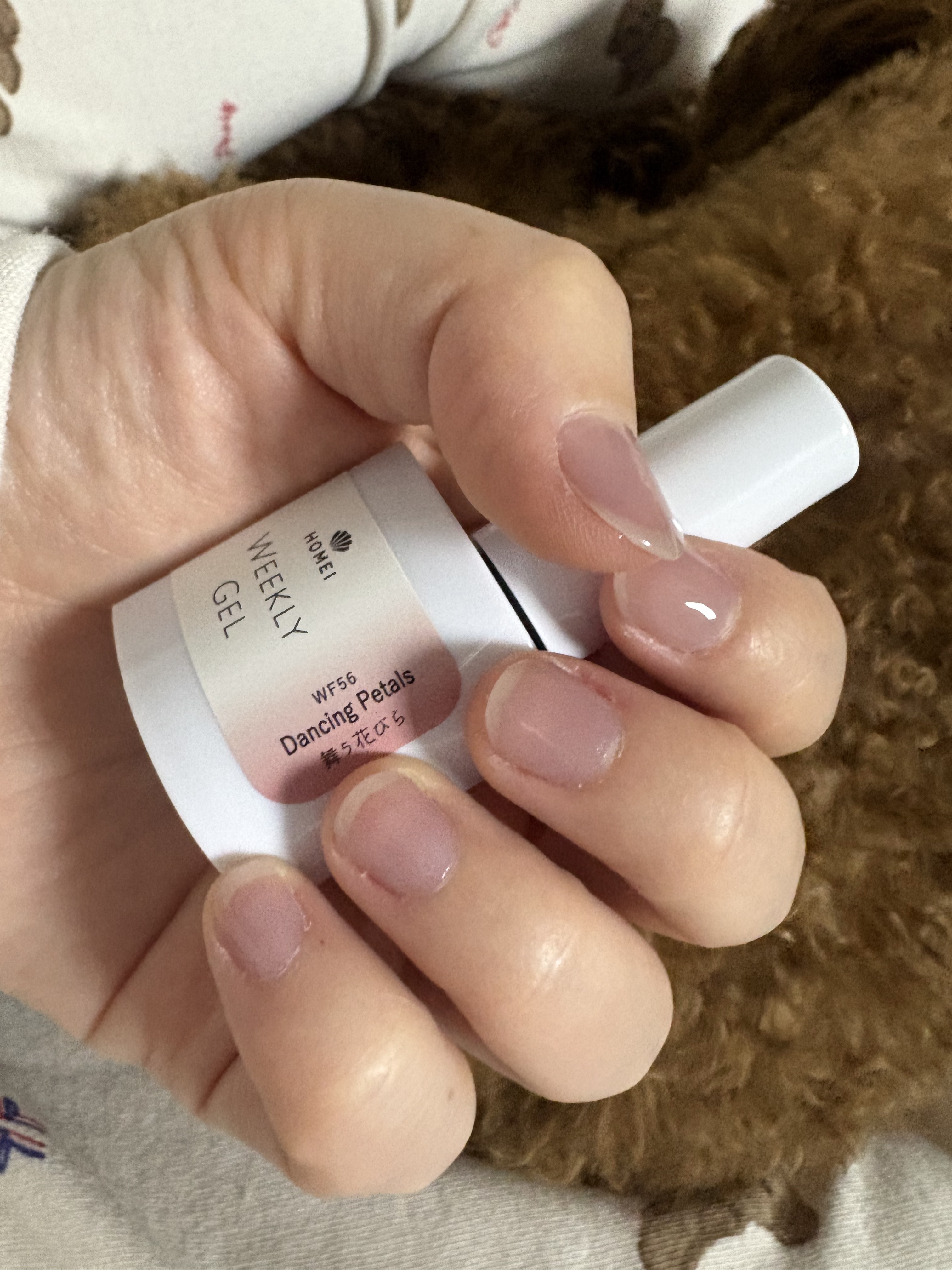 HOMEI ウィークリージェル/HOMEI/ジェルネイルを使ったクチコミ（1枚目）