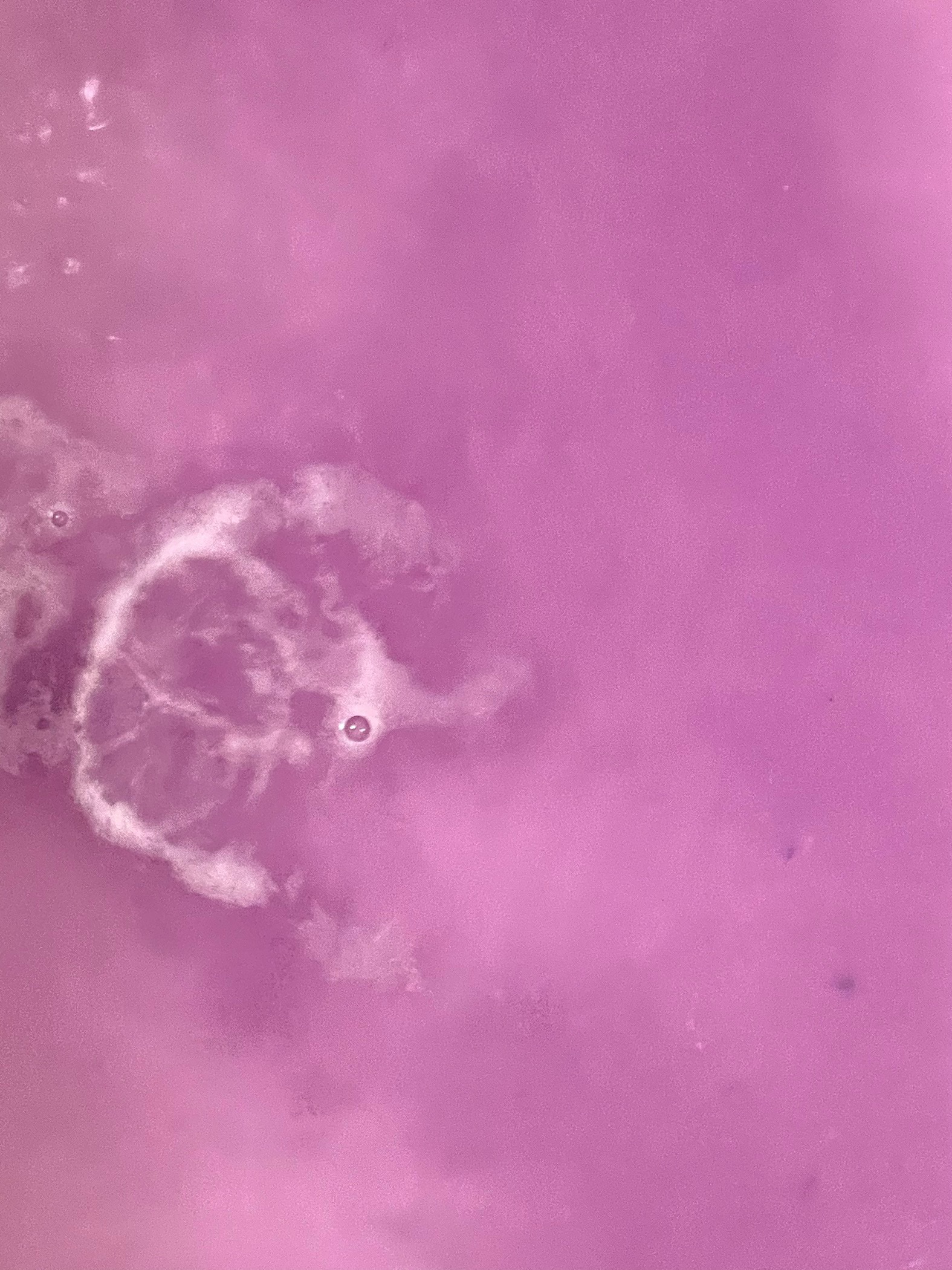 meshimase バスタブレット スパ リラックス/meshimase/炭酸系入浴剤を使ったクチコミ（2枚目）