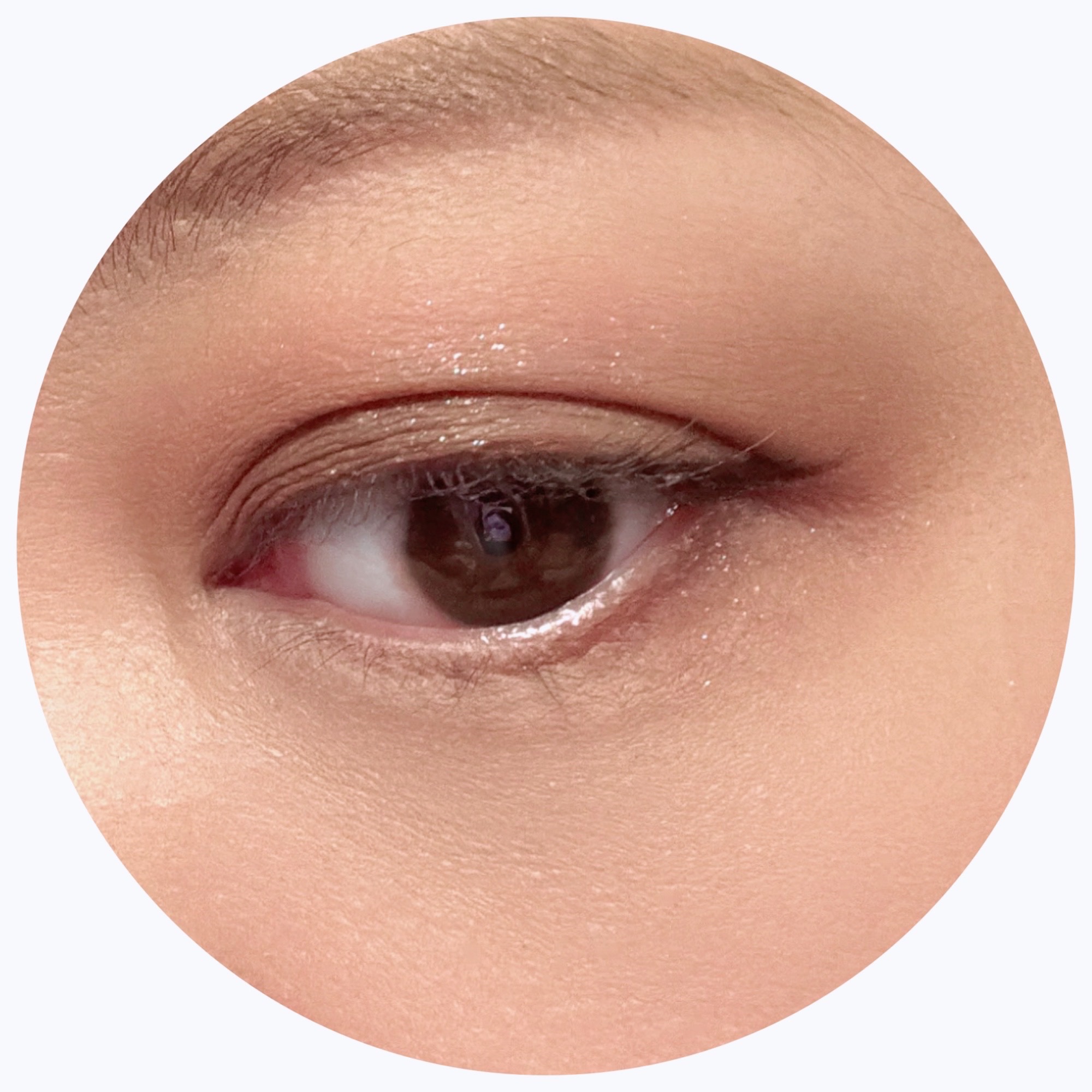 ラズル アイカラー/エレガンス ラズル /単色アイシャドウを使ったクチコミ（3枚目）