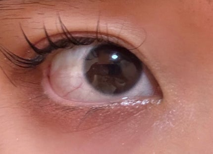 フェイスアイパレット/CEZANNE/アイシャドウを使ったクチコミ(1枚目)