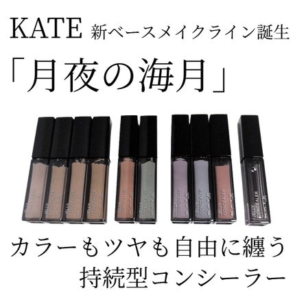 ケイト ジュレリープコンシーラー クリア/KATE/リキッドコンシーラーを使ったクチコミ(1枚目)