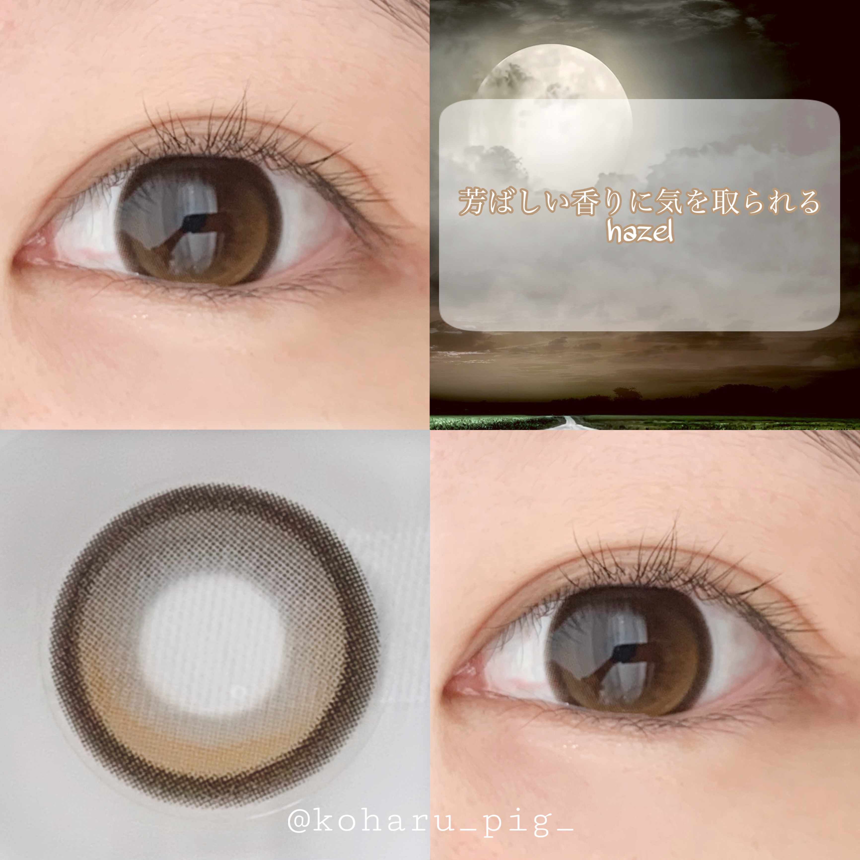 ビッグ グローイ 1Month ヘーゼル/OLENS/１ヶ月（１MONTH）カラコンを使ったクチコミ（1枚目）