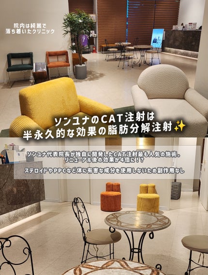 ハルちゃん|ママでも美容頑張りたい🤍フォロバ💬保存お返し on LIPS 「\韓国🇰🇷で脂肪溶解注射をしたい子必見🤍/30代になってから色..」(4枚目)