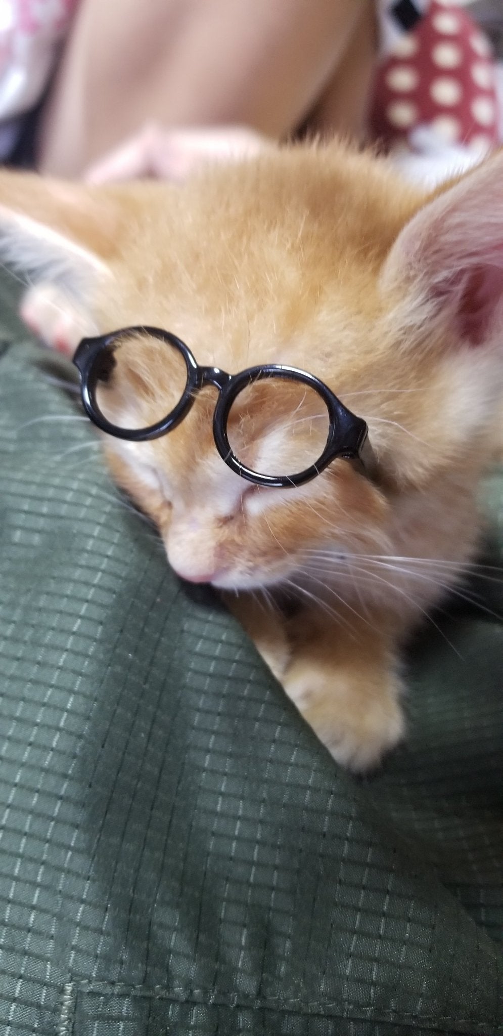 ð§Ririnað§ on LIPS ããã¡ã®åç«å¯æãããããŒïŒðååããã ã®ïŒããããŒâ..ãïŒ2æç®ïŒ