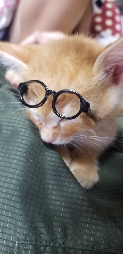 ã䜿ã£ãã¯ãã³ãïŒ2æç®ïŒ