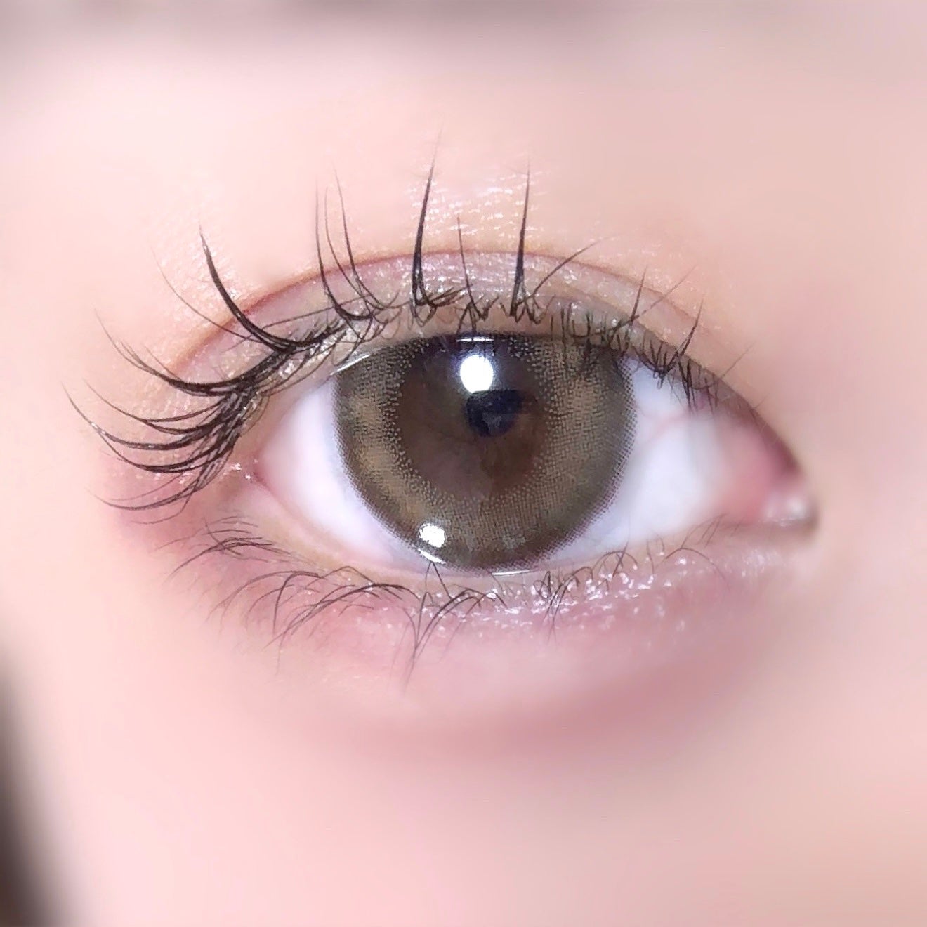 SIE. 1day/SIE./ワンデー(1DAY)カラコンを使ったクチコミ(1枚目)