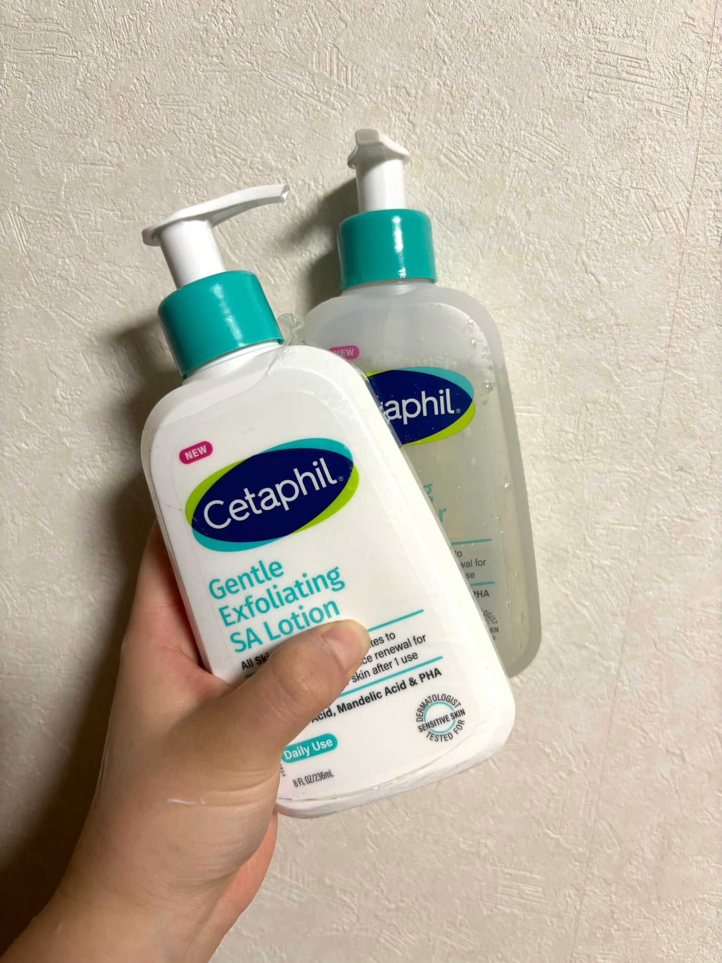 ã»ã¿ãã£ã«ããžã§ã³ãã«SAã¯ã¬ã³ã¶ãŒ/ã»ã¿ãã£ã«/ããŒãªã³ã°ã䜿ã£ãã¯ãã³ãïŒ1æç®ïŒ