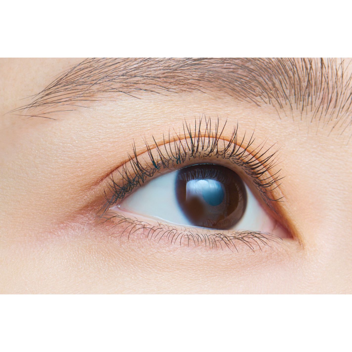 「塗るつけまつげ」自まつげ際立てタイプ スパークルブラック（数量限定色）