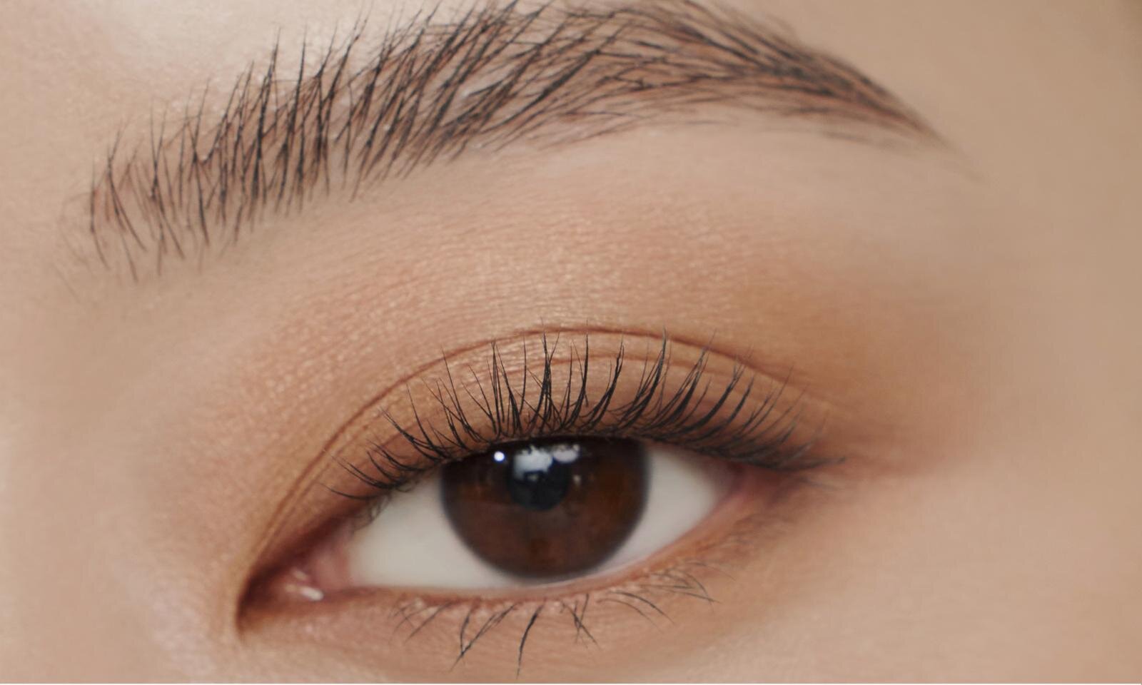 デイジードール バイ マリークワントから秋の新色アイシャドウが登場の画像