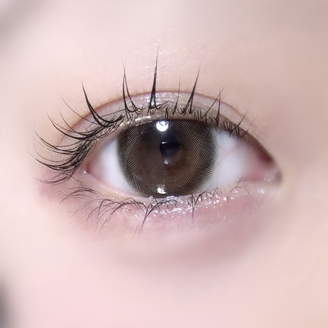 candymagic1day（キャンディーマジックワンデー） ルルブラウン/candy magic/ワンデー（１DAY）カラコンを使ったクチコミ（1枚目）