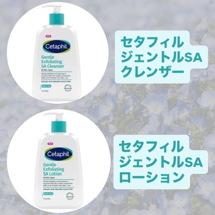 ã»ã¿ãã£ã«ããžã§ã³ãã«SAã¯ã¬ã³ã¶ãŒ/ã»ã¿ãã£ã«/ããŒãªã³ã°ã䜿ã£ãã¯ãã³ãïŒ1æç®ïŒ