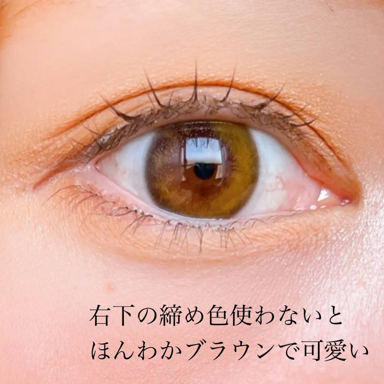 ビタートーンアイシャドウ/CEZANNE/パウダーアイシャドウを使ったクチコミ(6枚目)