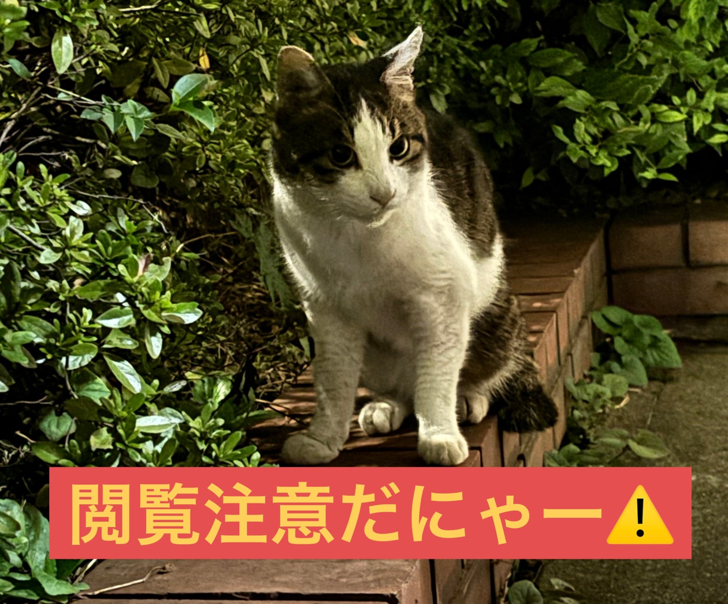 リードルショット リッチフットマスク/VT/レッグ・フットケアを使ったクチコミ(1枚目)