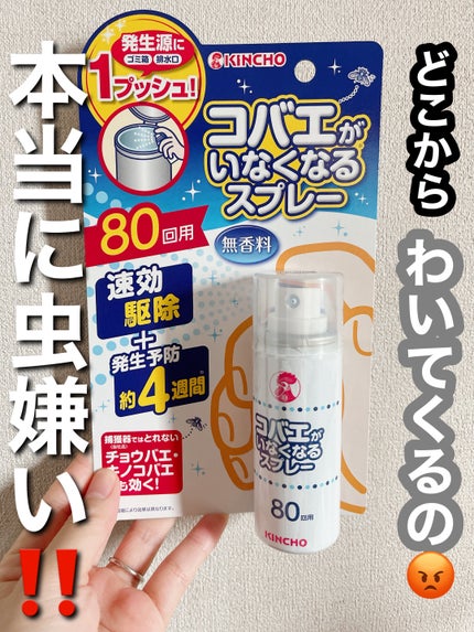 コバエがいなくなるスプレー/KINCHO/その他を使ったクチコミ(1枚目)
