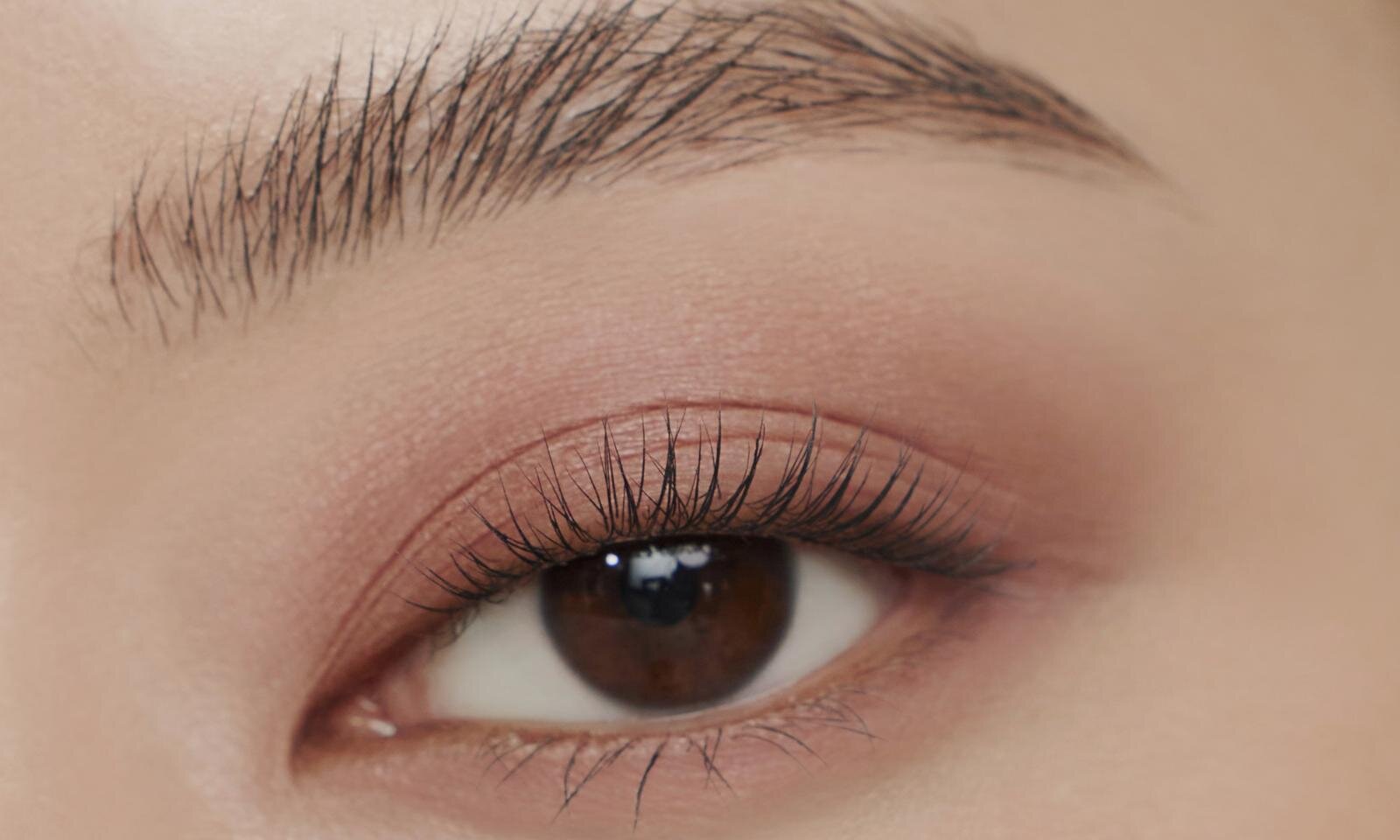 デイジードール バイ マリークワントから秋の新色アイシャドウが登場の画像