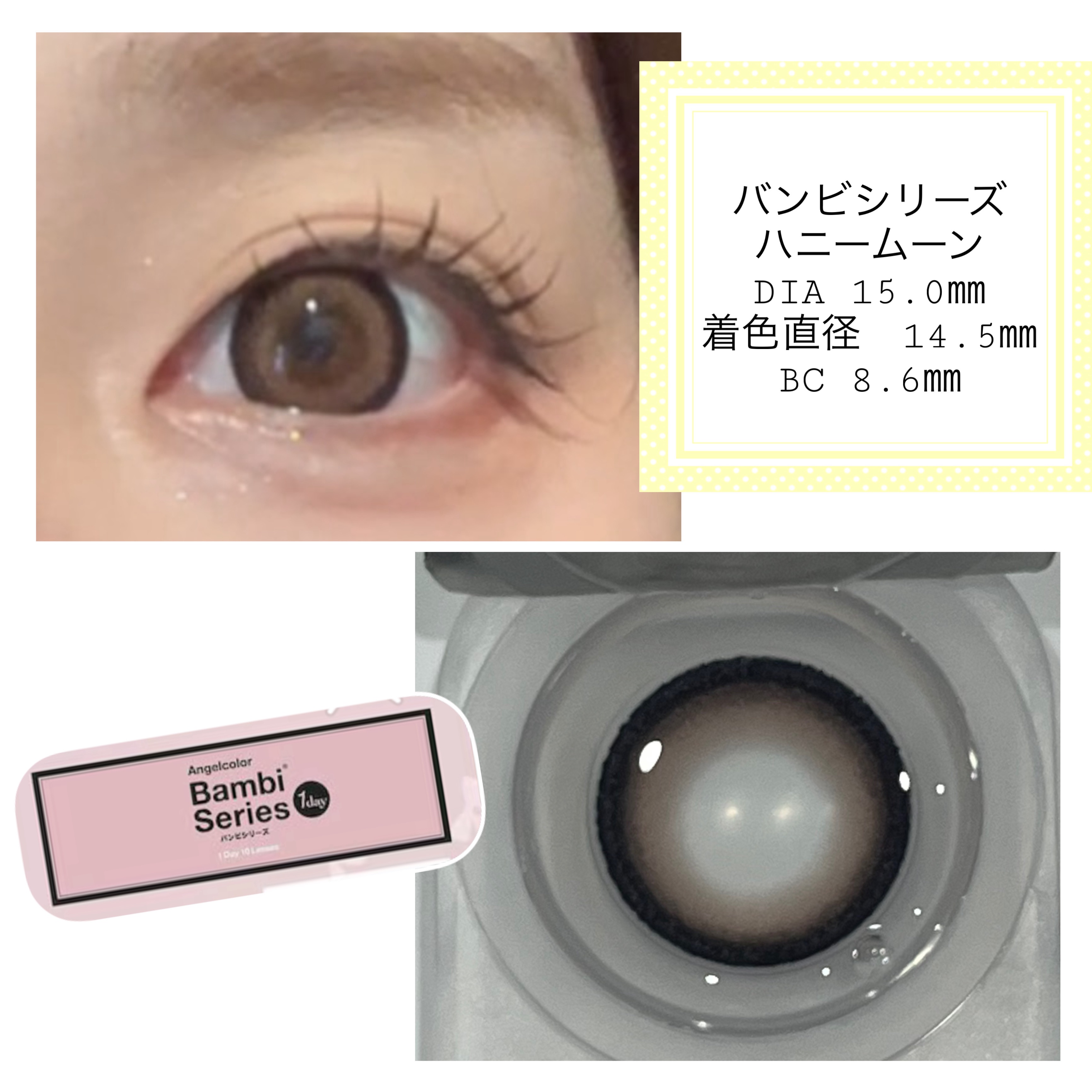 Angelcolor Bambi Series 1day /AngelColor/ワンデー（１DAY）カラコンを使ったクチコミ（2枚目）