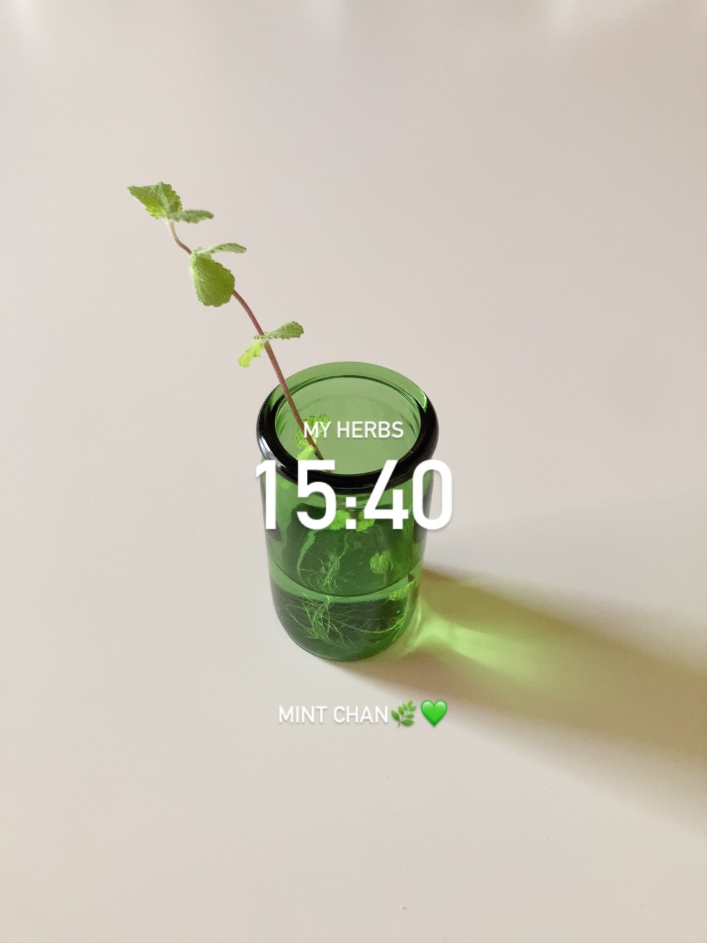 ほし⭐︎フォロバします♪(元美容部員) on LIPS 「・何気ない日常“ADayofSelfCare”🌿🍋オリーブレモ..」(5枚目)