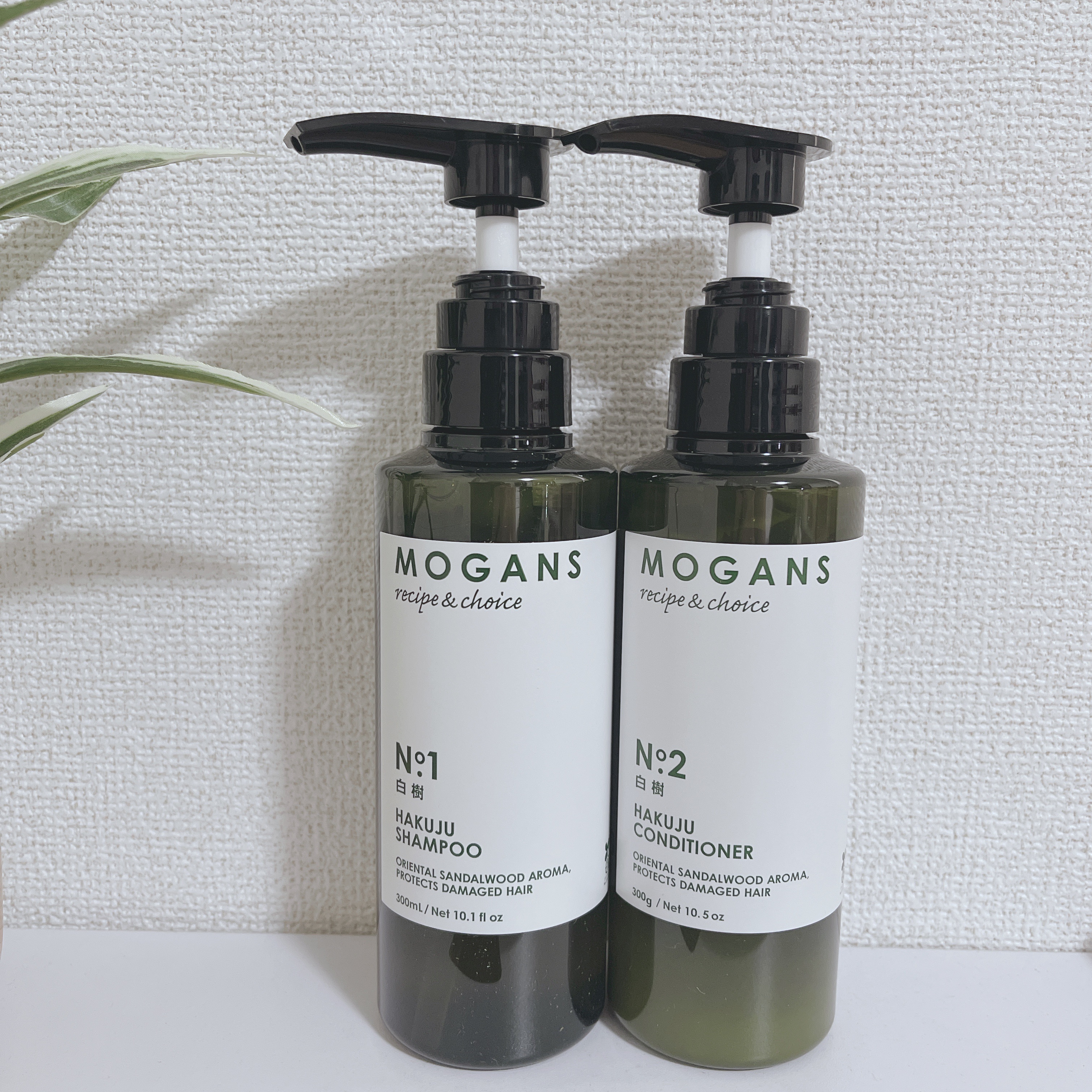 ノンシリコン アミノ酸 シャンプー/コンディショナー白樹（はくじゅ）/MOGANS/市販シャンプーを使ったクチコミ（1枚目）