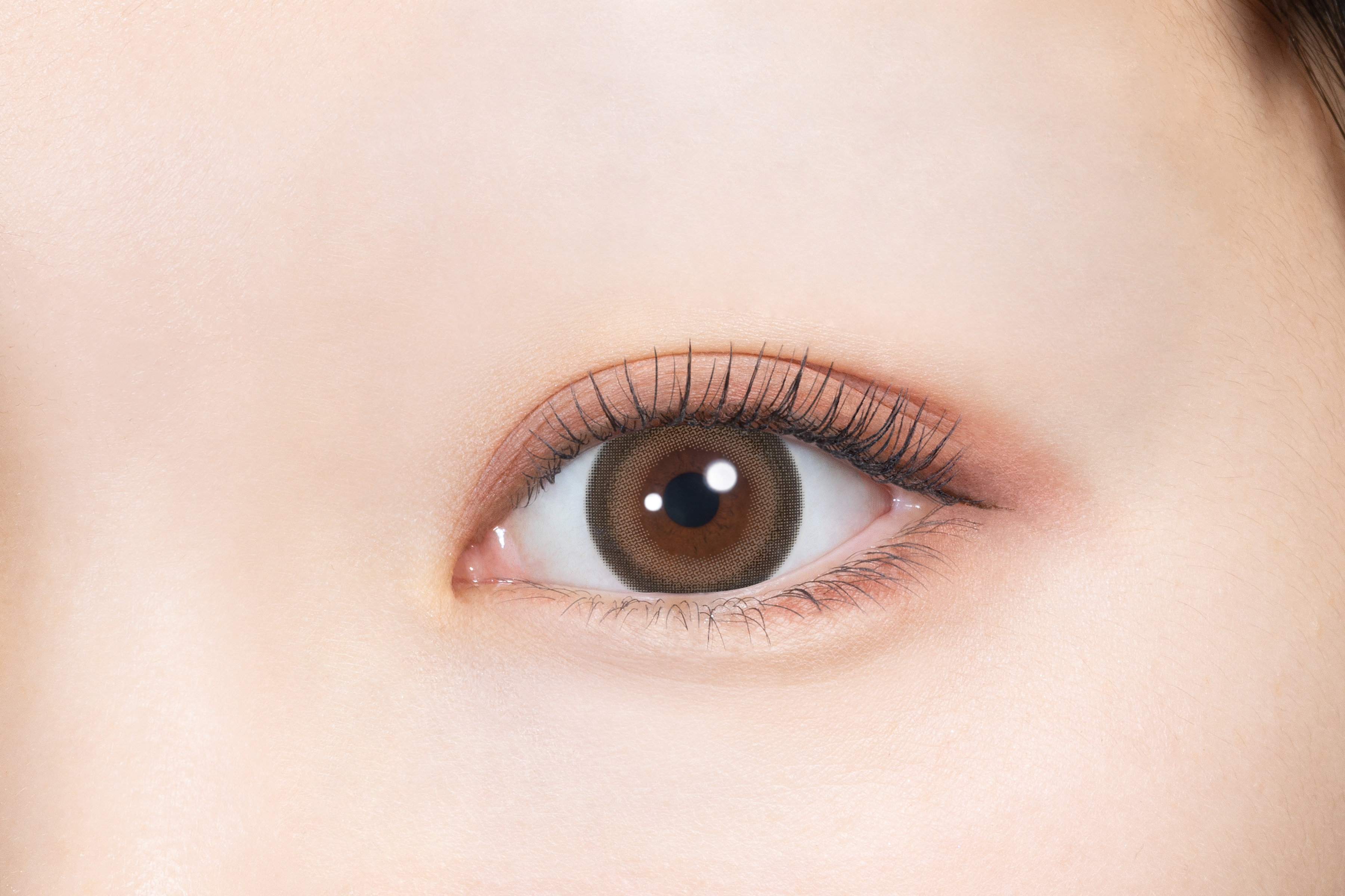 melady 1month プリンセスショコラ