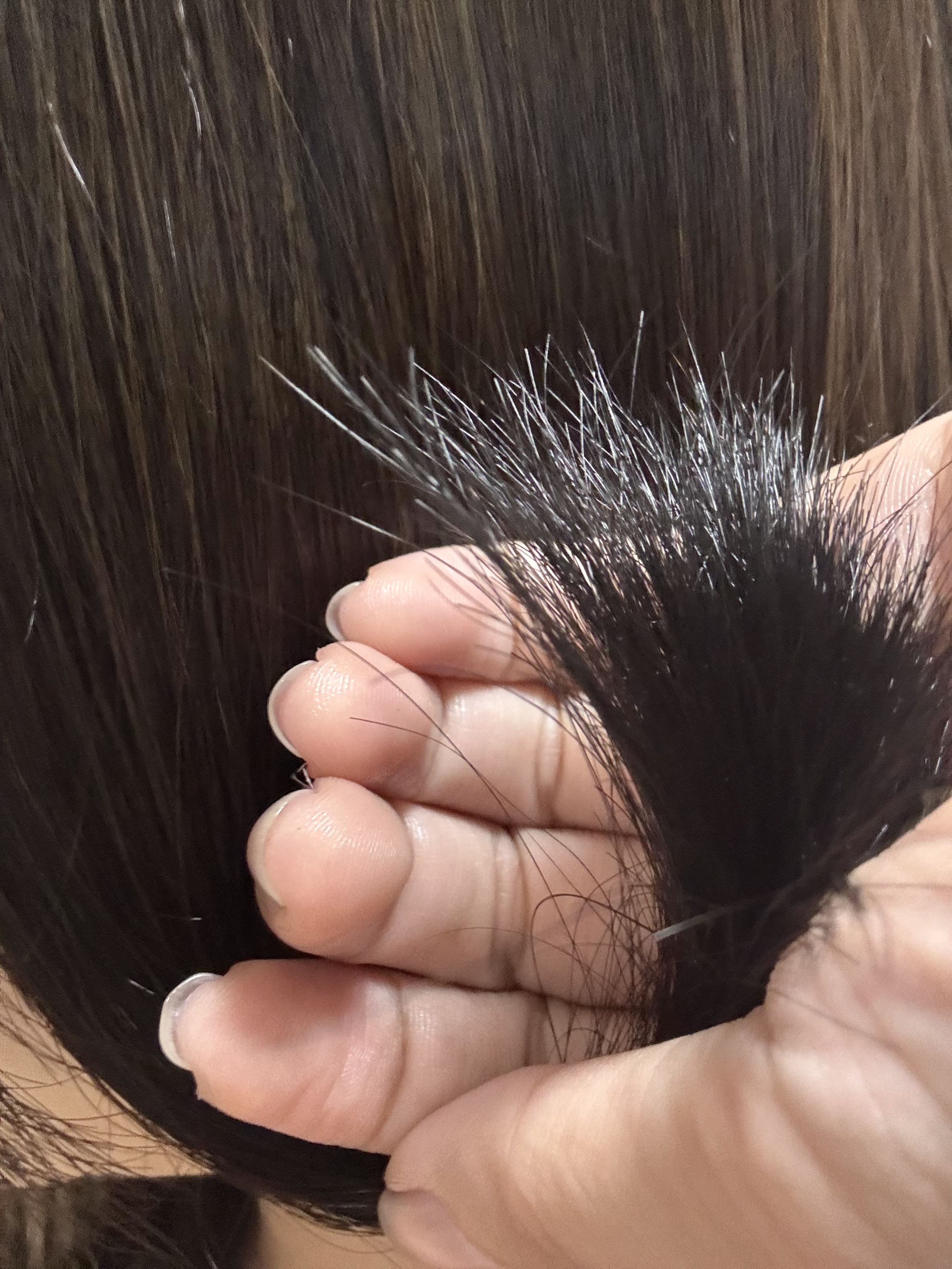 ホイップヘアカラー 髪色もどし/ビューティラボ/ヘアカラーを使ったクチコミ（3枚目）