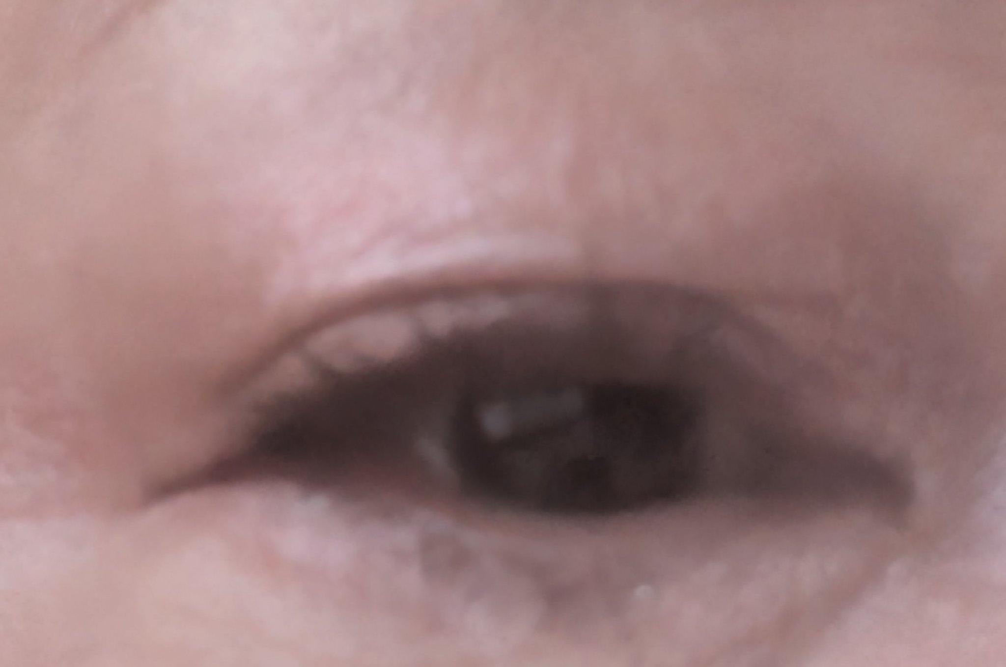 セパレートロングマスカラ/CEZANNE/マスカラを使ったクチコミ（2枚目）