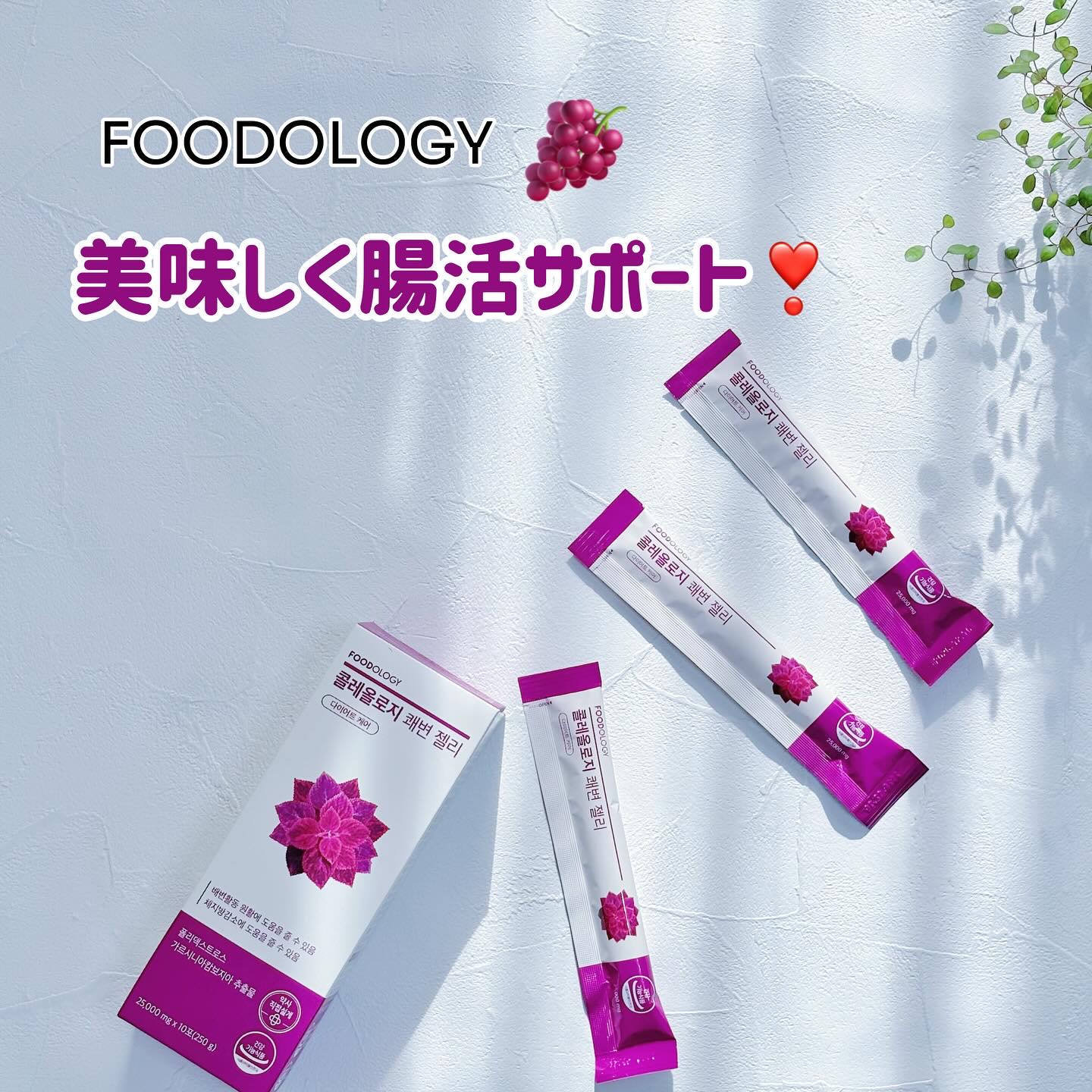 こんばんは😊

ダイエット中って、特に食事に気をつけていると食べる量も減るからなのか、お通じにも影響がでがち💦
食物繊維など意識するのも大切だけど、
美味しくおやつ感覚で快調サポートしてくれるゼリーがあるよ💓

【FOODOLOGY 