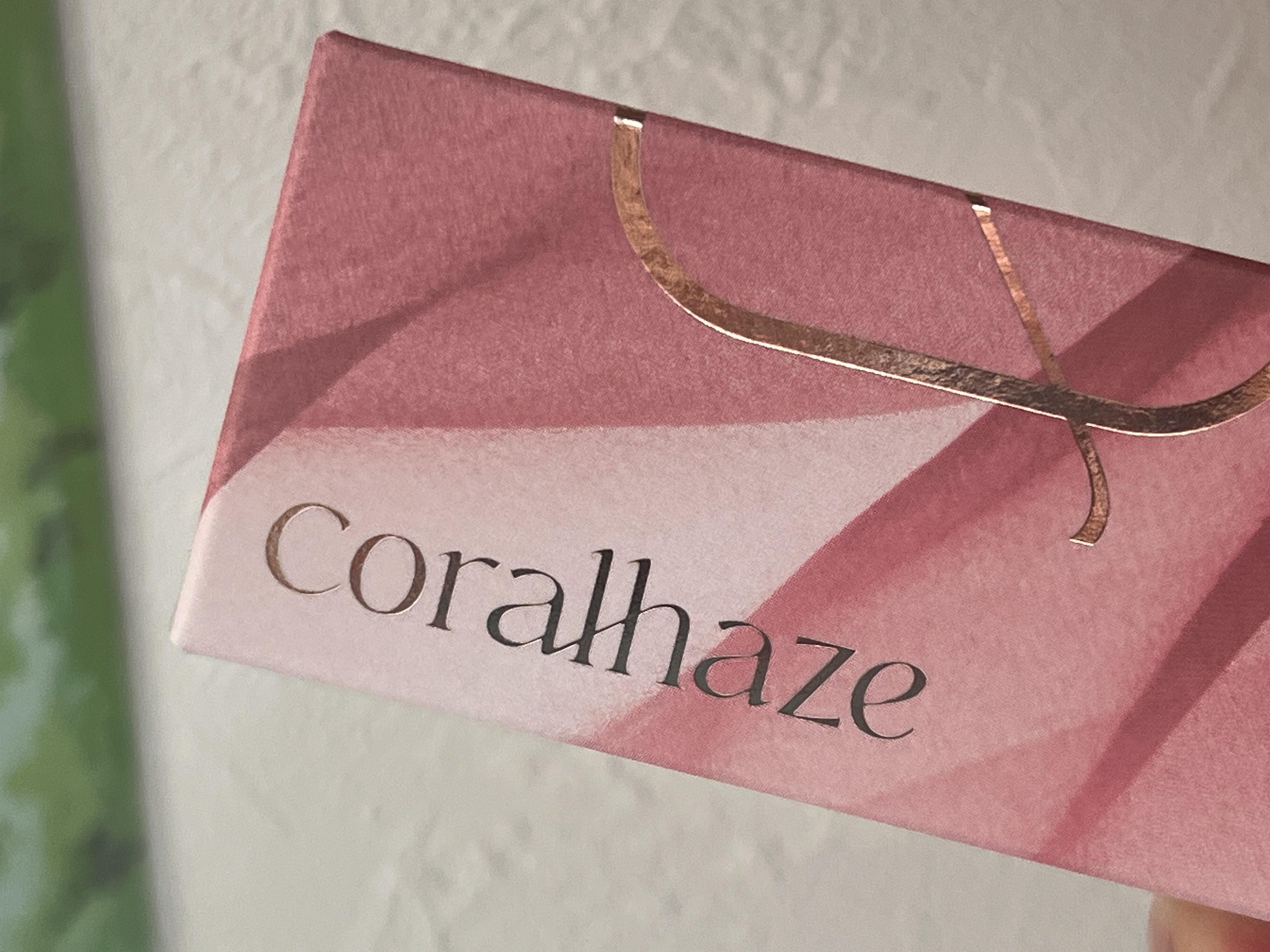 ベア ベルベット ティント/Coralhaze/リップティントを使ったクチコミ（1枚目）