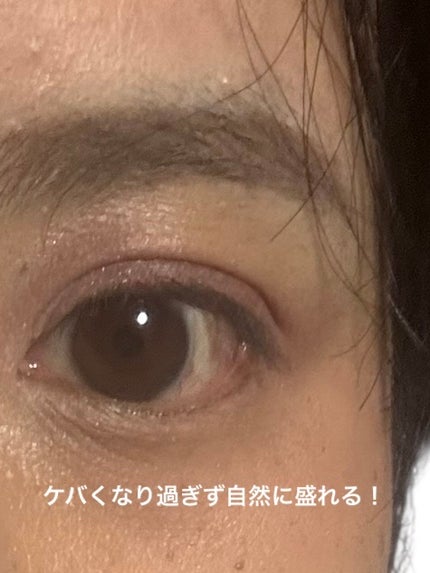 キス ズームアイポーション/KiSS/アイシャドウパレットを使ったクチコミ(4枚目)