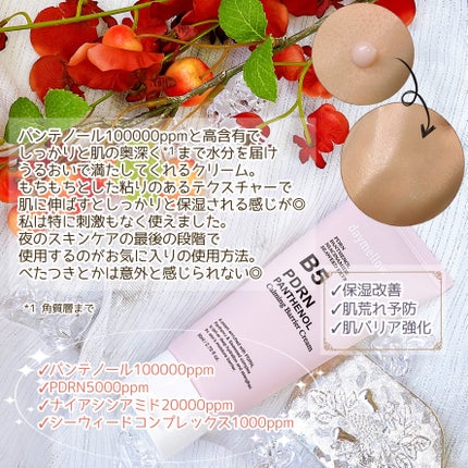 PDRNパンテノールカーミングバリアクリーム/daymellow’/フェイスクリームを使ったクチコミ(3枚目)