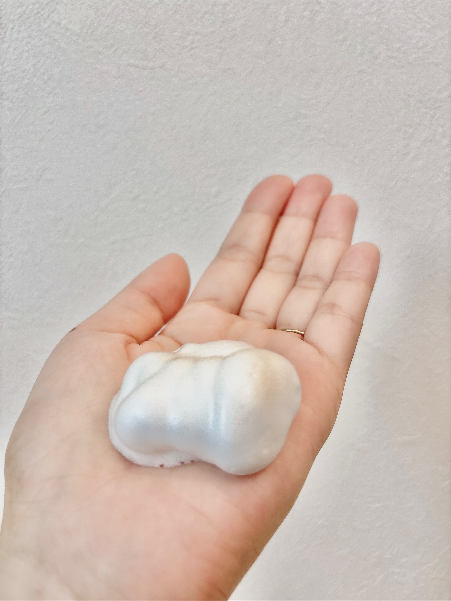 ホリーディア クリーミーリセットクレンジング/HOLIDEA/泡洗顔を使ったクチコミ（3枚目）