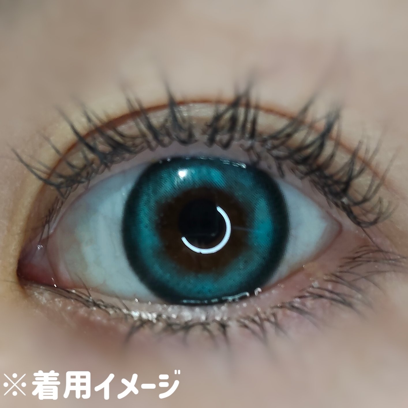 メロウワンデー/Etia./ワンデー（１DAY）カラコンを使ったクチコミ（3枚目）