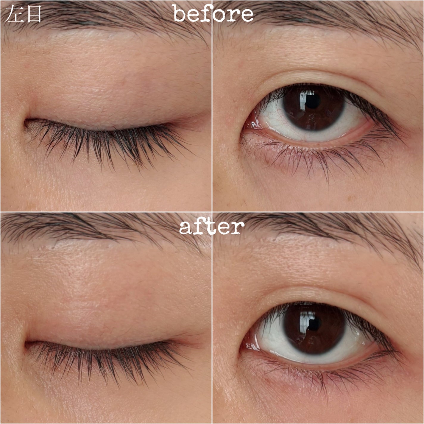 ERIKA on LIPS 「ハリ・コシを与え、目元を華やかな印象へと導くまつ毛美容液。カロ..」(3枚目)