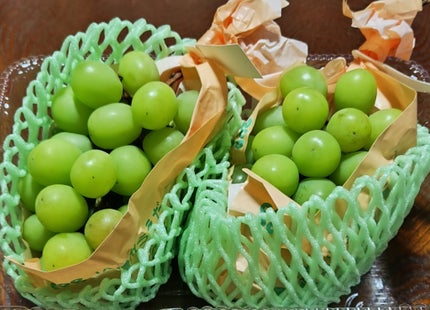 らいな🦁リムるならフォローしないで on LIPS 「大きい買い物続きで、気持ちが大きくなっていたのかシャインマスカ..」(1枚目)