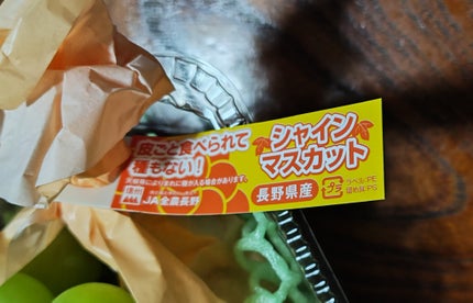 らいな🦁リムるならフォローしないで on LIPS 「大きい買い物続きで、気持ちが大きくなっていたのかシャインマスカ..」(2枚目)