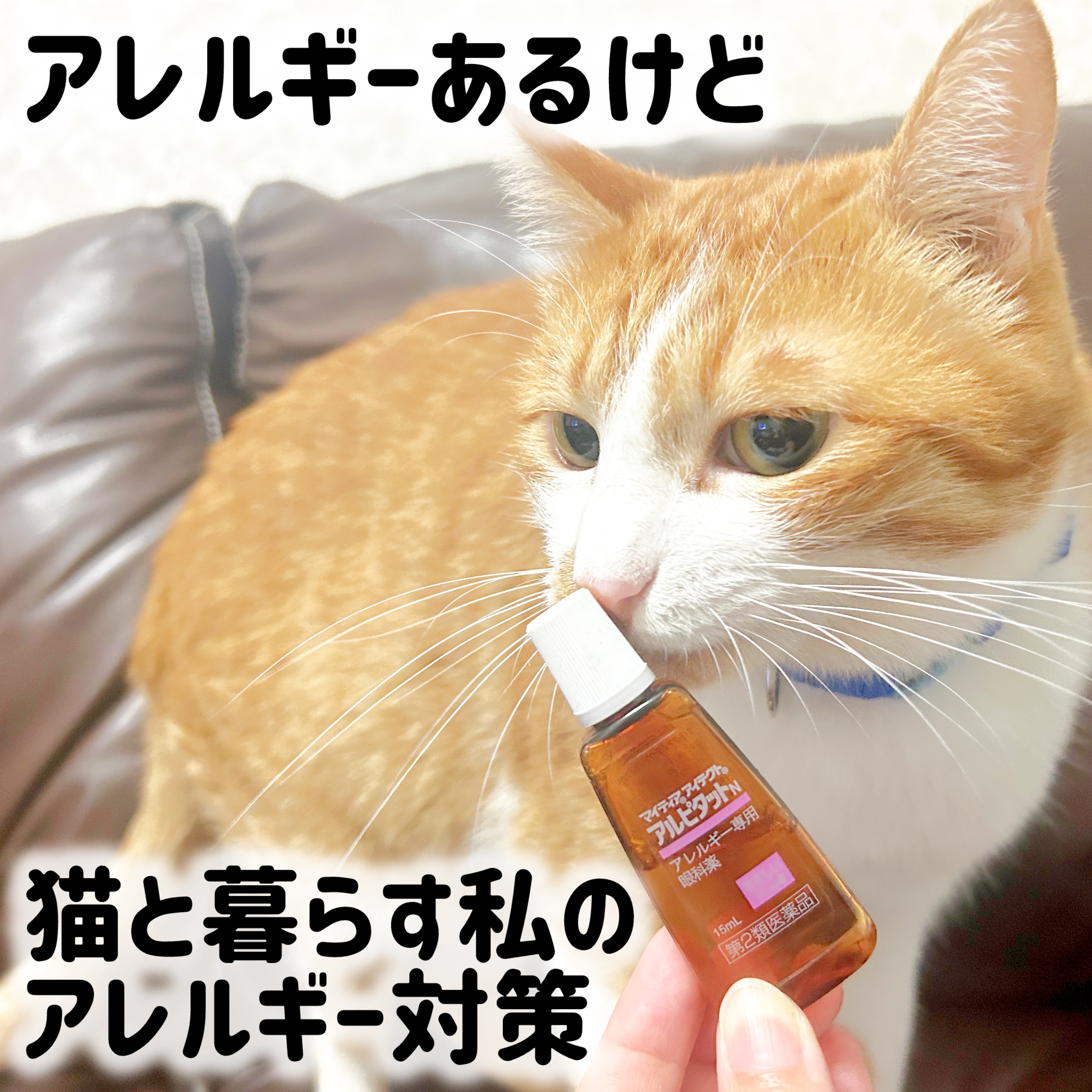 マイティアアイテクトアルピタット(医薬品)/マイティア/その他を使ったクチコミ（1枚目）