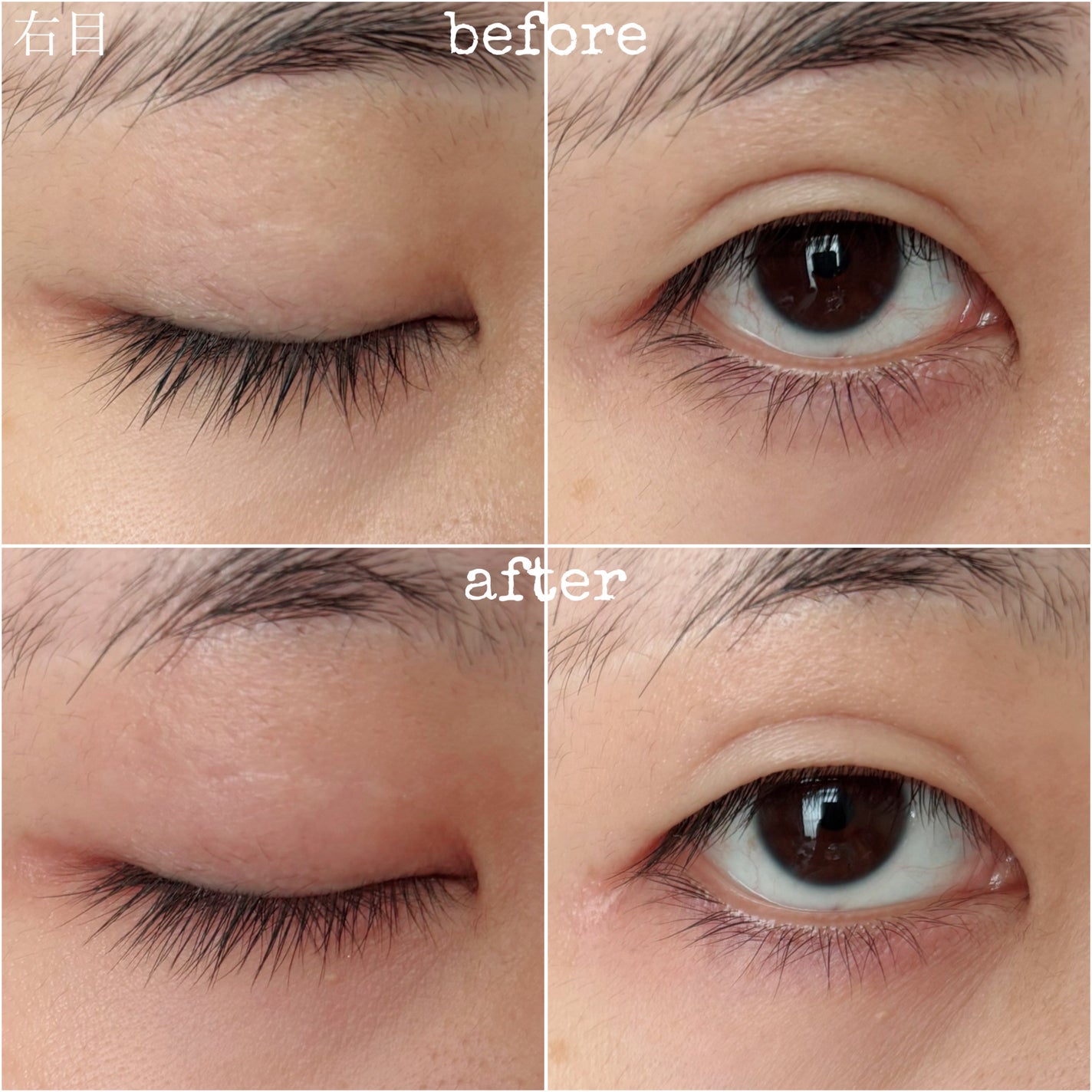 ERIKA on LIPS 「ハリ・コシを与え、目元を華やかな印象へと導くまつ毛美容液。カロ..」(4枚目)