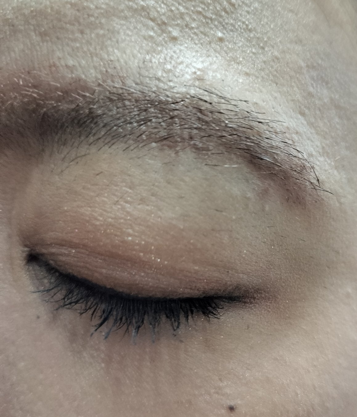 エクスプローラ12色 動物アイシャドウパレット/PERFECT DIARY/アイシャドウパレットを使ったクチコミ(6枚目)